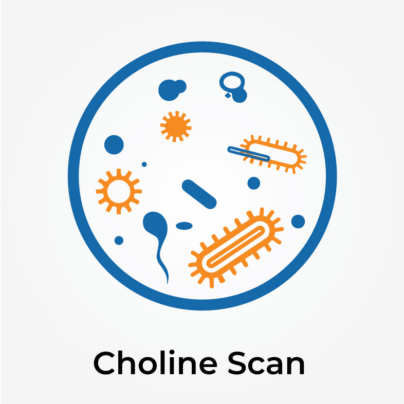 vector image of Choline scan