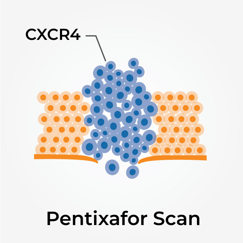 vector image of Pentixafor scan