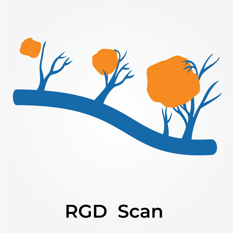 vector image of RGD Scan