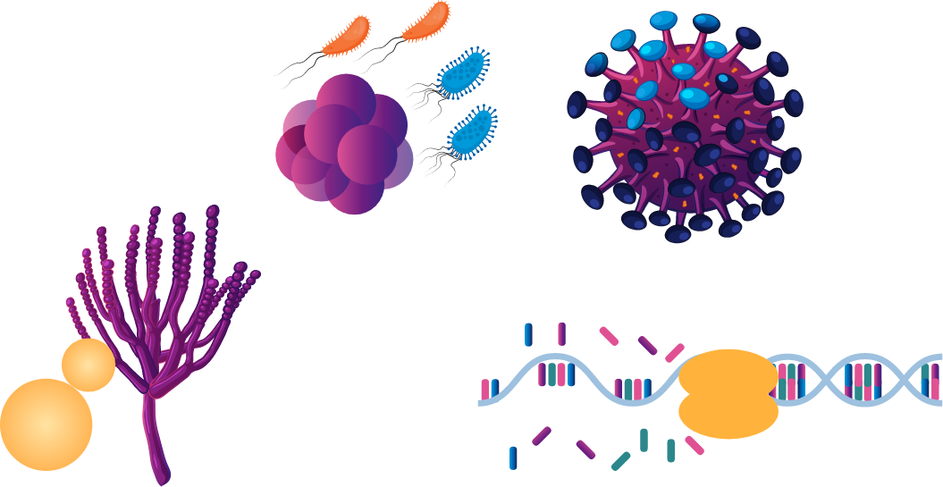 Vector image of viruses and bacteria causing Infectious Disease.