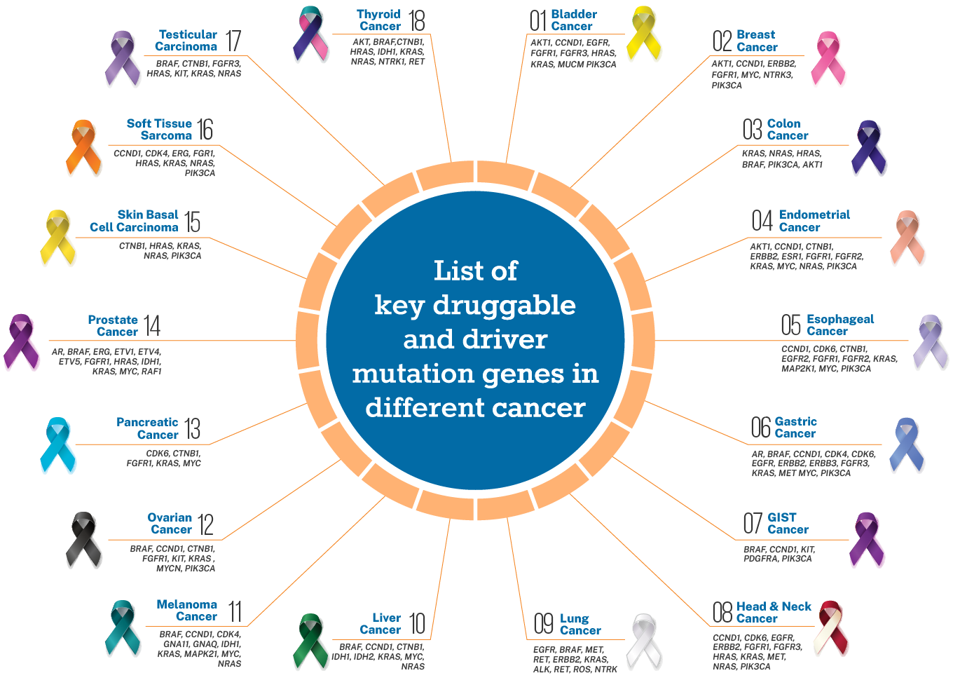 The image shows the list of genes in different cancer.
